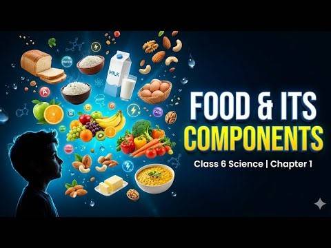 Class 6 Science Chapter 1 One Shot | Food & Its Components in 10 Minutes