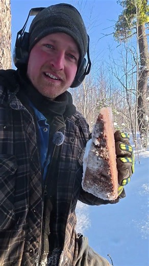 ALL You Need For A Wedge When Felling a Tree🪓