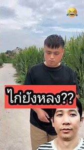 Even the chicken is lost!🤣🤣