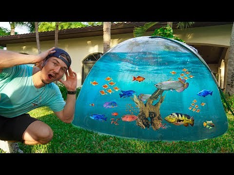 BUBBLE BALL AQUARIUM Upgrade! *fish inside* (part 2)