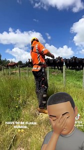 The Fijian cow whisper 😅 | Teitei to Tanoa Fiji