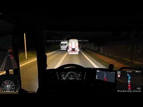TruckersMP Player Report 20