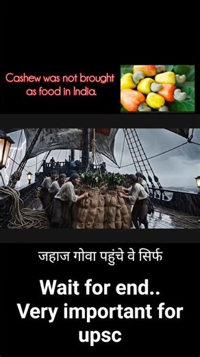 Cashew was not brought as food in India.The forgotten history #foodhistory #shorts #upsc