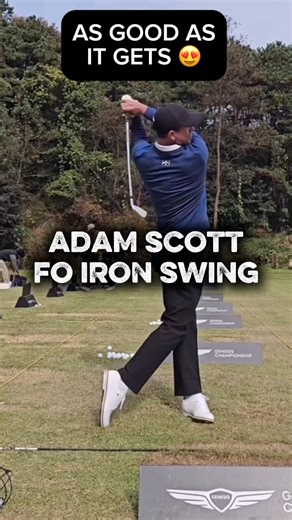 Adam Scott Iron Swing (Face-On) | Slow Motion Golf Swing Adam Scott’s golf swing in slow motion, face-on with an iron. One of the most technically sound and repeatable swings in professional golf. Ideal for studying: • Setup and posture • Tempo and balance • Impact position • Face-on swing mechanics A great reference for golfers working on iron consistency. #golf #golfswing #golflife #golfaddict #golfstagram #golfcoaching⛳ #golfcourse #golfclub #golfpro #golfday #golfislife #golfswag #golfshot #