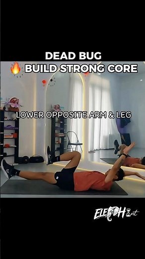 👉Dead Bug Exercise for Beginners🔥Burn Belly Fat Fast #fitnessshorts #coreworkout #ELEPHant