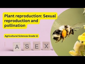 Agricultural Sciences grade 11: Plant reproduction - Sexual reproduction and pollination