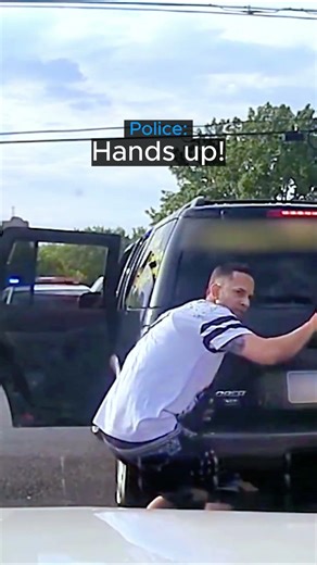 Police Use WWE Style Kick in the Suspect's Head