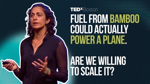 Why electrification alone will not get us to net-zero | Camille Rebelo | TEDxBoston | Audrey Bolo