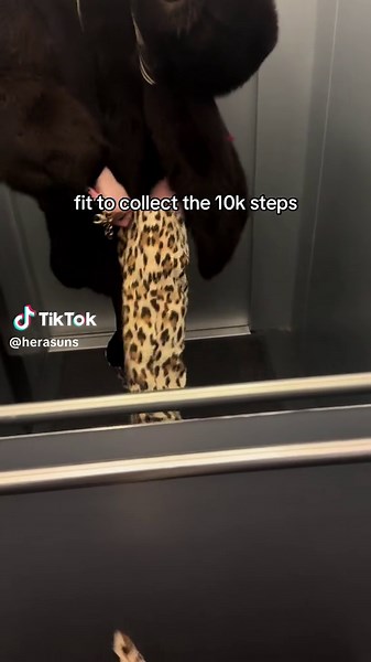 beast id say #fyp #foryou #fouryoupage #real