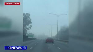 #EXCLUSIVE: An alleged drunk driver has been arrested after a crash on the M1 this morning, with anxious motorists capturing the entire ordeal on camera. #9News | 9 News