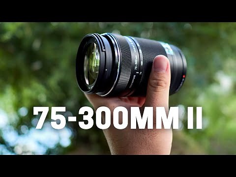 Olympus 75-300mm F4.8-6.7 II - The Underrated Super Telephoto Zoom Lens
