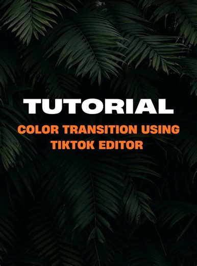 Master Color Transitions with TikTok Editor