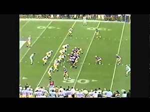 1993 Rose Bowl Michigan vs Washington