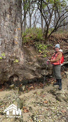 Happy World Wetlands Day! Today, we’re celebrating our dedicated T&M Environmental and Wetland Scientists who work tirelessly to protect and restore these vital ecosystems. Their expertise is essential in helping clients navigate NJDEP land use permitting—especially when wetlands are involved. Wetland delineation is one of the most technical and high stakes steps in the process, and our scientists ensure projects stay compliant while still moving forward. Thank you for all you do! | T&M Associat