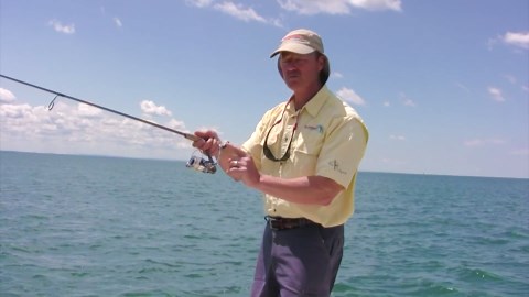 Understanding gear ratio of fishing reels