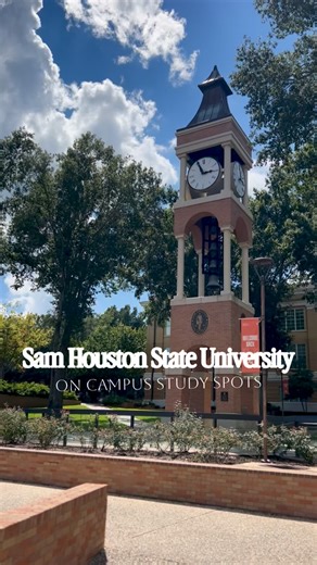 SHSU Admissions on Instagram: "Finals are coming… find your favorite study spot and lock in. #SHSU"