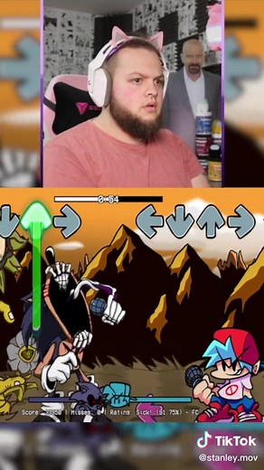 Insane Mod Gameplay in Friday Night Funkin'