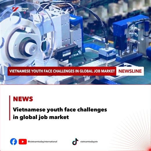 80K views · 1K reactions | About one million Vietnamese are now working in more than 60 countries and territories — most of them young, in their prime working age. Strict visa policies, language barriers, competition with local workers, and higher demands for digital skills and international certificates - all are significant challenges facing Vietnamese youth abroad. #VietnamToday #VTV #news #jobmarket #youth #Vietnam #YourwindowonVietnam | Vietnam Today | Facebook