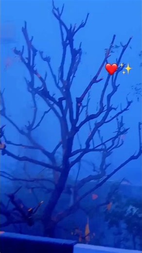 #song #bollywood #music #love #new #nature #hindisong #jiskeaanesemukammalhogayithizindagisong #