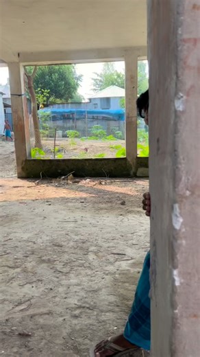 17K views · 511 reactions | বাপ বেটা যখন ছাগল চুরি করি।#fouryou #funney #reels #facebook Page | Md Shorif Blog Bd | Facebook