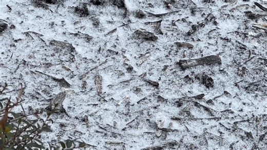 Lewisville saw some snow flurries this morning as an arctic blast moved into Texas. https://spectrumlocalnews.com/tx/dallas-fort-worth/weather | Spectrum News 1 Texas