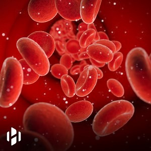 Microplastics found in human blood for the first time. | Hashem Al-Ghaili