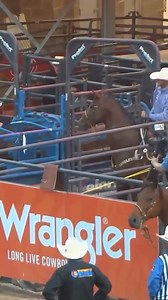 Whatever it takes. | Tyler Wade Team Roping