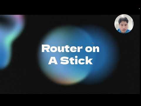 Router on A Stick