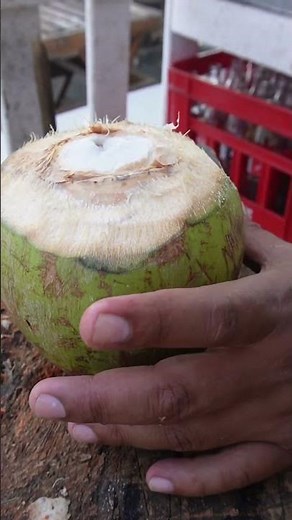 el famoso coco loco 🏝️🥥🍹 aprende a preparar este delicioso coctel #cocoloco #cocktails #coctel