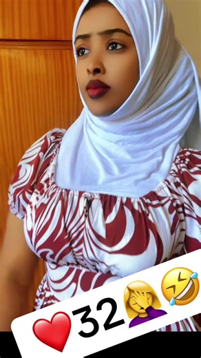 Creative Outfit Ideas for Cats on TikTok