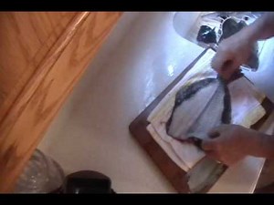 Filet a Flounder or Fluke