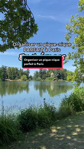 Un pique-nique magique à Paris