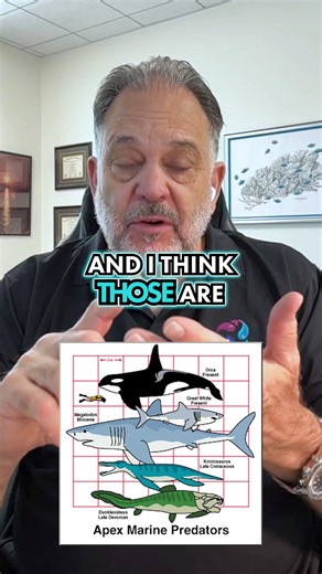 2.5K views · 23 reactions | The Apex Predators of the Sea (Ranked)...