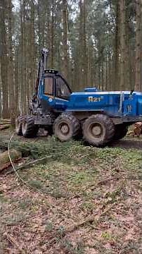 Baumfällarbeiten mit modernen Maschinen 🌲💥 | Extrem effiziente Forsttechnik!