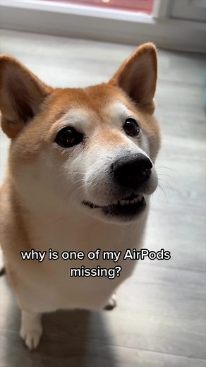 where has it gone? 🥴