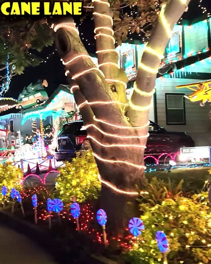 8 Best Christmas Light Spots Around Los Angeles! 🌠✨💫 | Yellow Productions Travel Guides