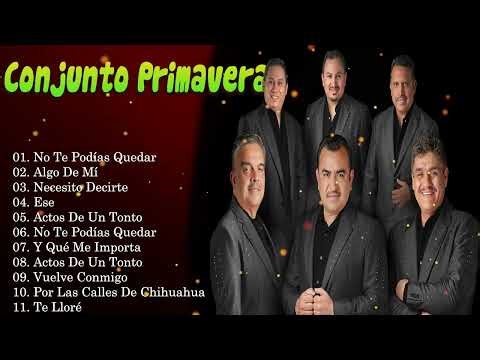 Conjunto Primavera Grandes Éxitos Mix Música Romántica Grupera #Clásicos