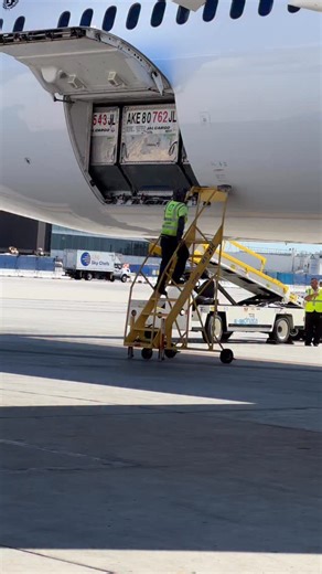 Lax Airplanes | B787 Cargo door closing | Instagram