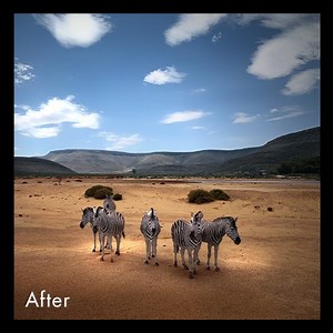 6.6K views · 62 reactions | Inspire others with breathtaking landscape images with LandscapePro. | LandscapePro | Facebook