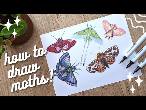 How To Draw A Colorful Moth (Step By Step Tutorial)