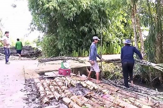 Cần Thơ nông dân trồng mía bán lẻ để ép nước giải khát có thu nhập cao