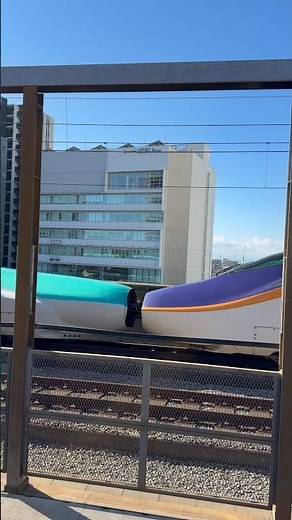 【4K高画質】E5系U30編成＋E8系G8編成の新幹線が武蔵浦和駅を通過するシーン（2026.1.29.11:19） #youtubeshorts