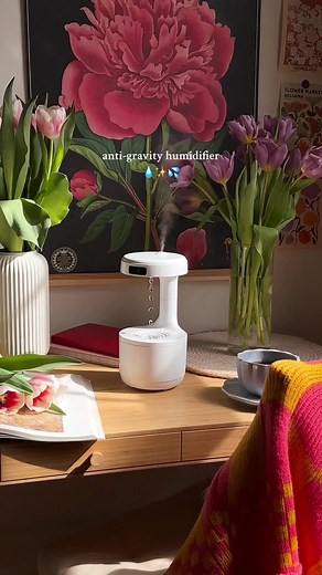 Transform Your Bedroom with the Anti-Gravity Humidifier from Temu