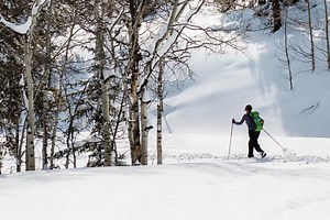 Explore Snowshoeing Trails in Buena Vista & Salida, Colorado
