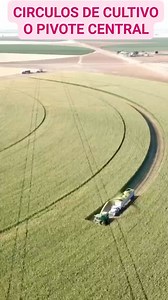 AGRICUlTURA CIRCULAR O PIVOTE CENTRAL Los círculos de cultivo son obras de riego por pivote central. Facilita y eficientiza las actividades de la Maquinaria Agrícola #agriculturacircular #pivotecentral #irrigation #irrigacion #agriculture #UACH #Chapingo @fans destacados Chapingo Consultores S.A de C.V Universidad Autónoma Chapingo 2023-2027 | Chapingo Consultores S.A de C.V