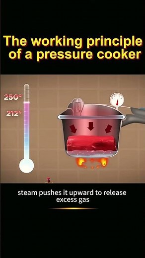 The working principle of a pressure cooker #knowledge #shortvideo