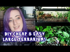 How to DIY - Large Aquarium Terrarium for Cheap - Rare Jewel Orchids, Begonias & More! | PLANT DIY