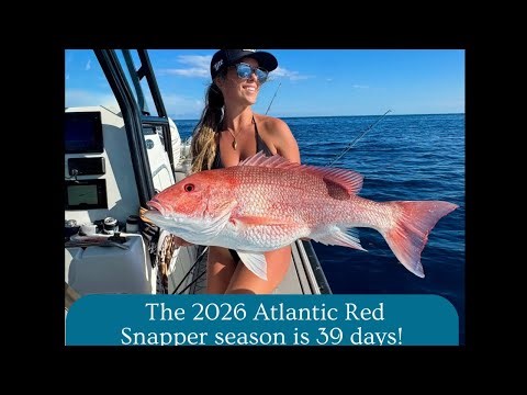 Sara Burke and Kenny Mullet Talk About The Florida Fishery.#989