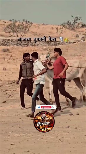 वेगाचा शेवटचा सर्जा आणि व्हाईट गोल्ड चिक्या तुफानी फेरा 🚀💪🔝🥵👑👀🤙🥇🌪️💥#shortvideo #bakasur #मथुर1001