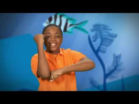 Kids Action Song - English | Let's Discover, Let's Explore